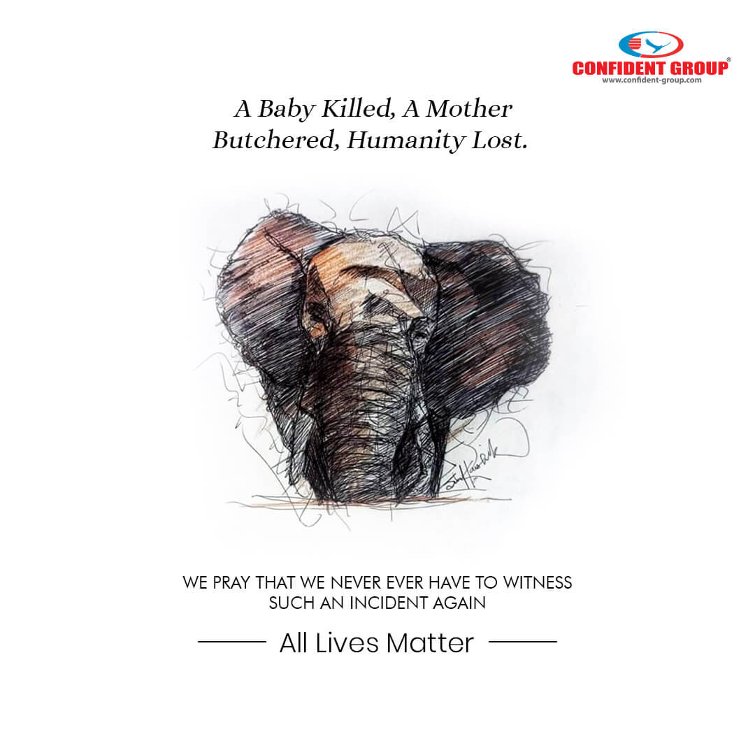 Value of Life Quote by Confident Group